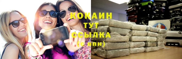 шишки Аркадак