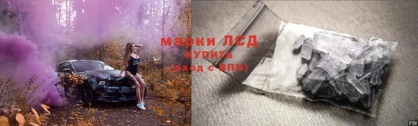 шишки Аркадак