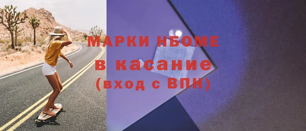 шишки Аркадак