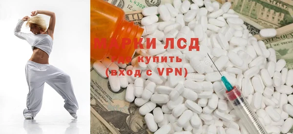 шишки Аркадак