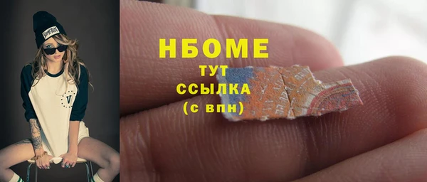 шишки Аркадак
