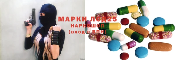 шишки Аркадак