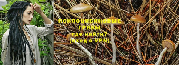 синтетический гашиш Арсеньев